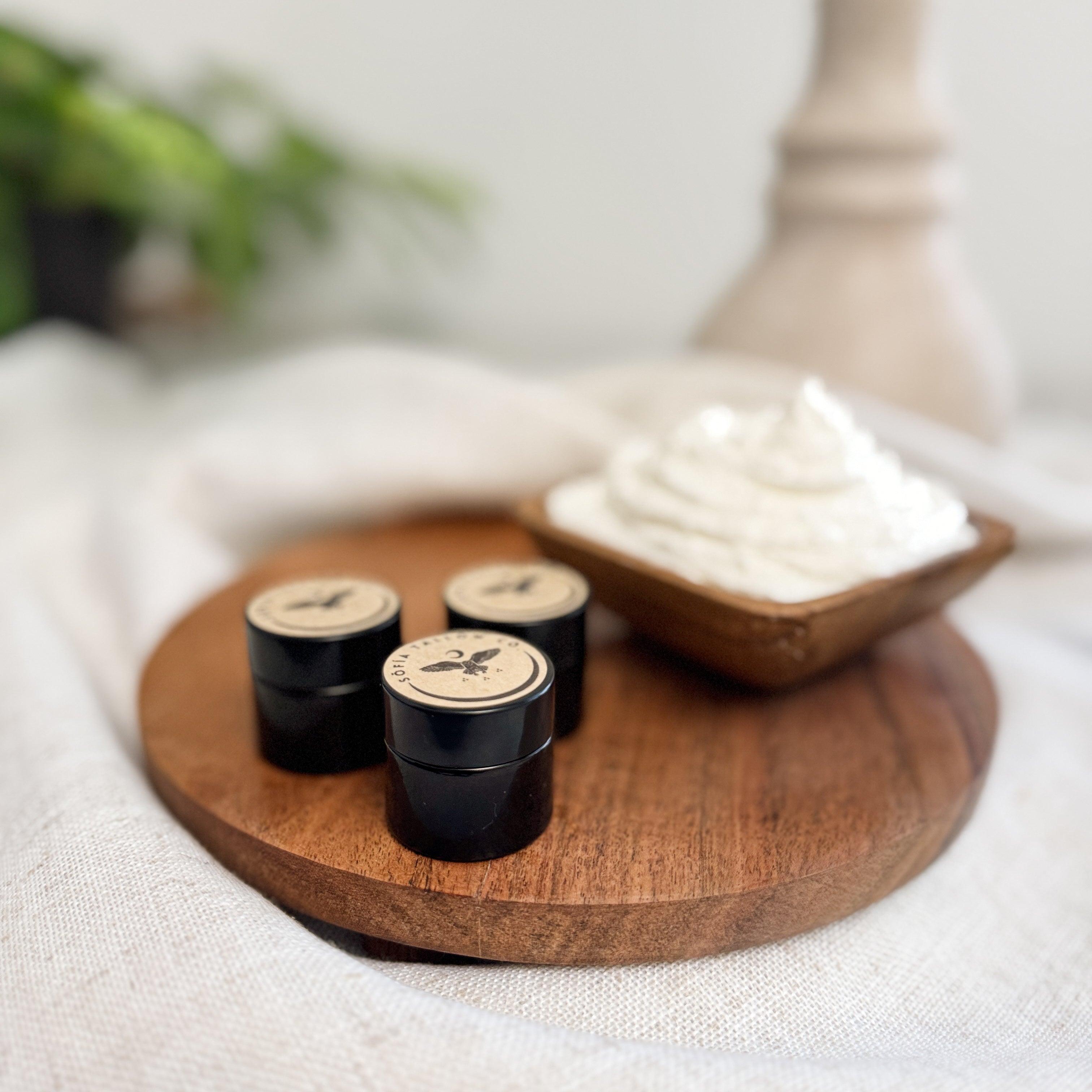 Ancient Nourish Discovery Trio