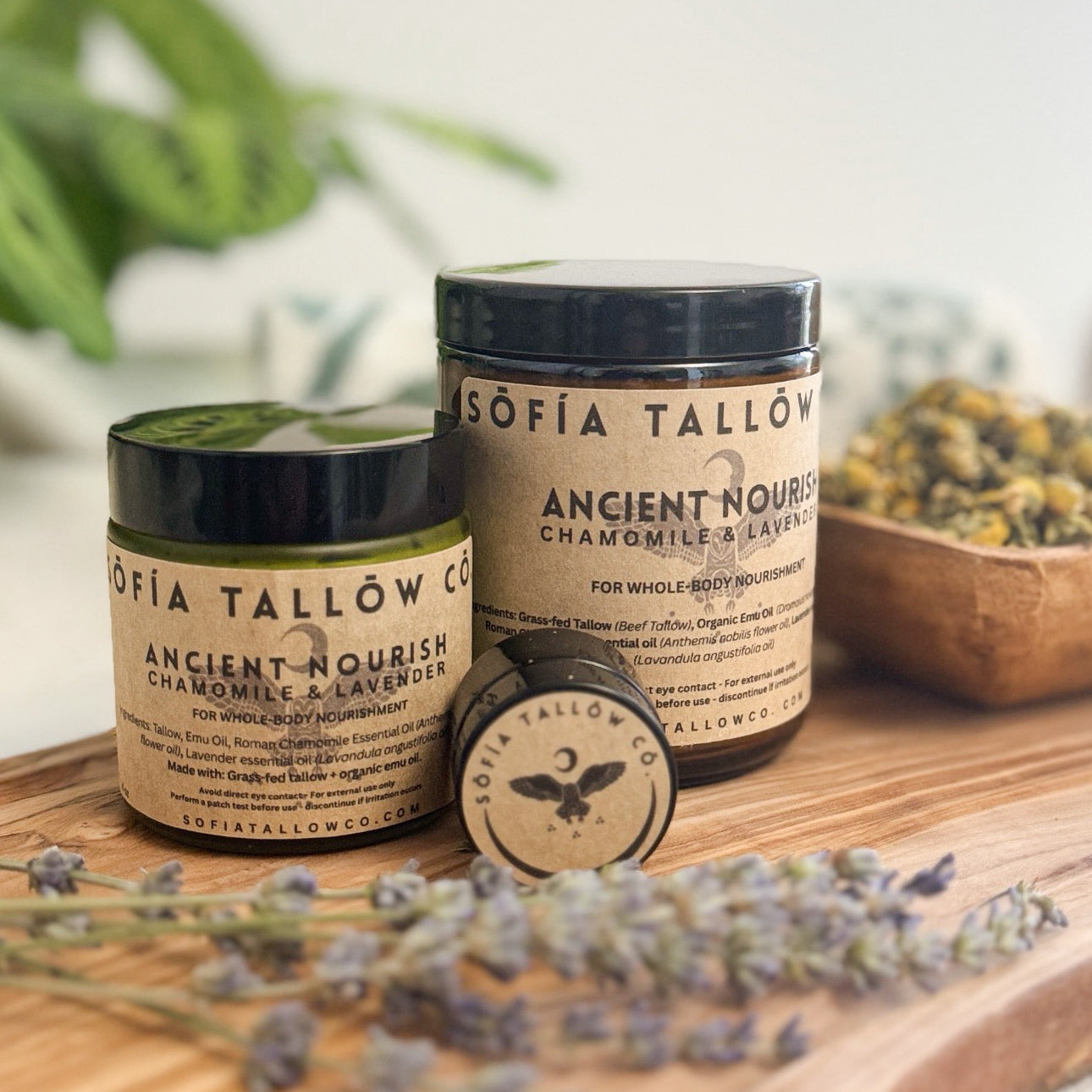 Ancient Nourish –– Chamomile & Lavender Whipped Tallow Balm